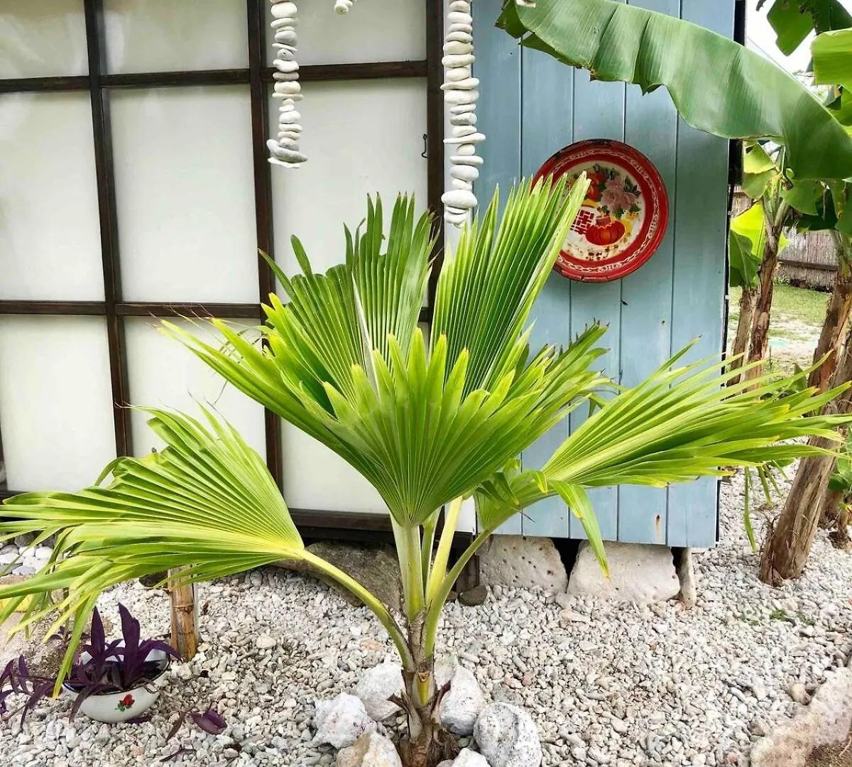 Villa Fare Tehaki - Island Spirit Moorea Ferienhaus